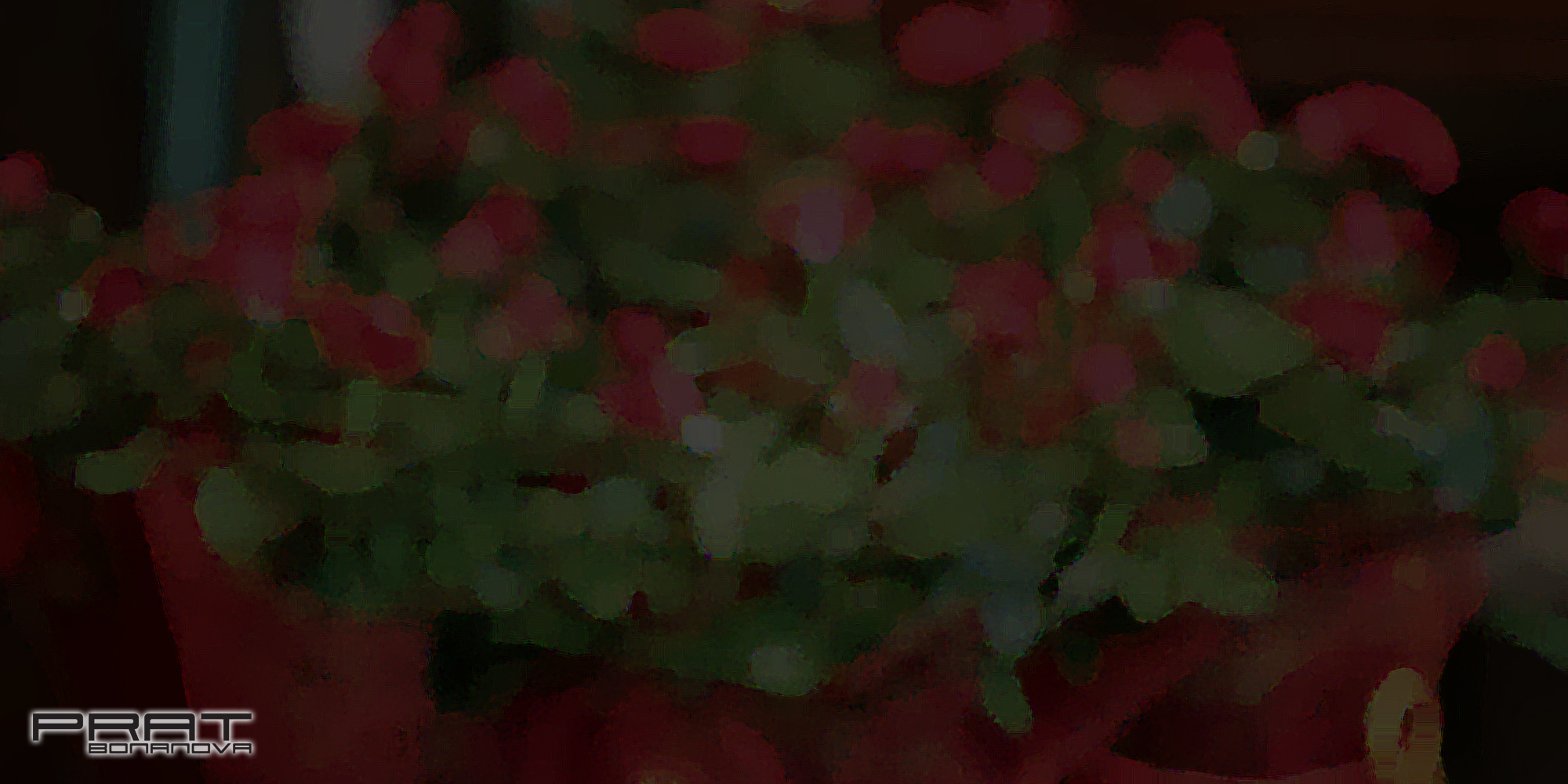 Baner Vacances