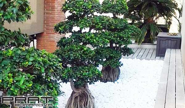 Jardines Personalizados