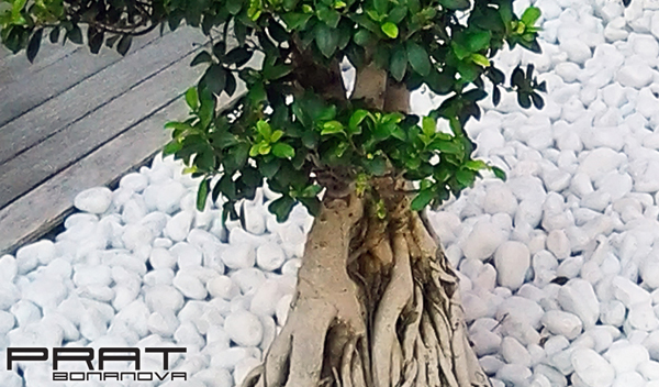 Jard&iacute;n personalizado 03