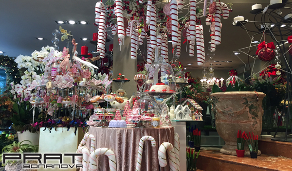 Navidad 2018-19 09