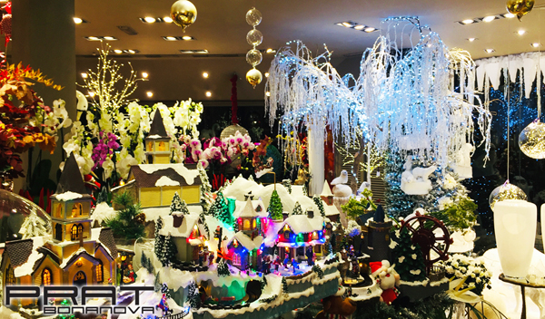 Navidad 2019-20 09
