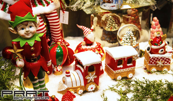 Plantas y decoraci&oacute;n de Navidad