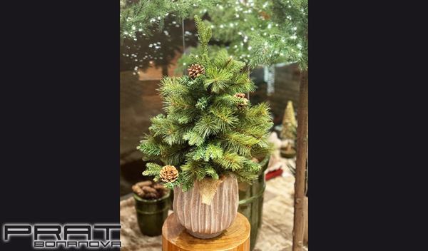Navidad - Arbol de Navidad