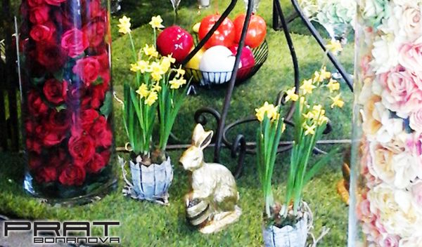 Pasqua 2016 11